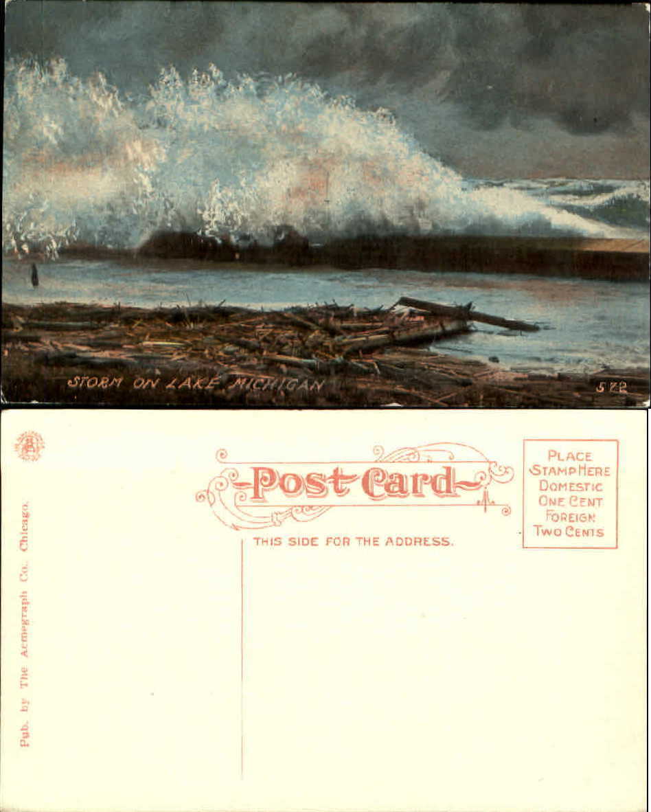 Storm on Lake Michigan ~ driftwood ~ c1910 postcard ~ unused