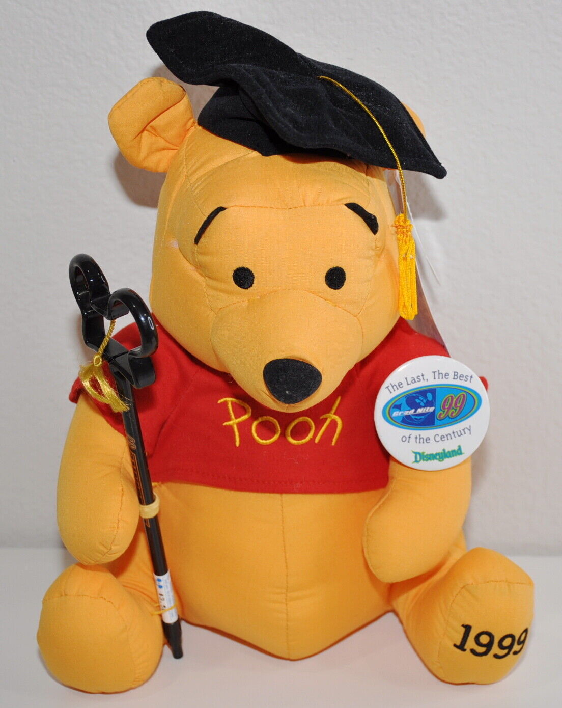 Disney Winnie the Pooh 1999 Graduation Plush Grad Nite 99 Disneyland Vintage 