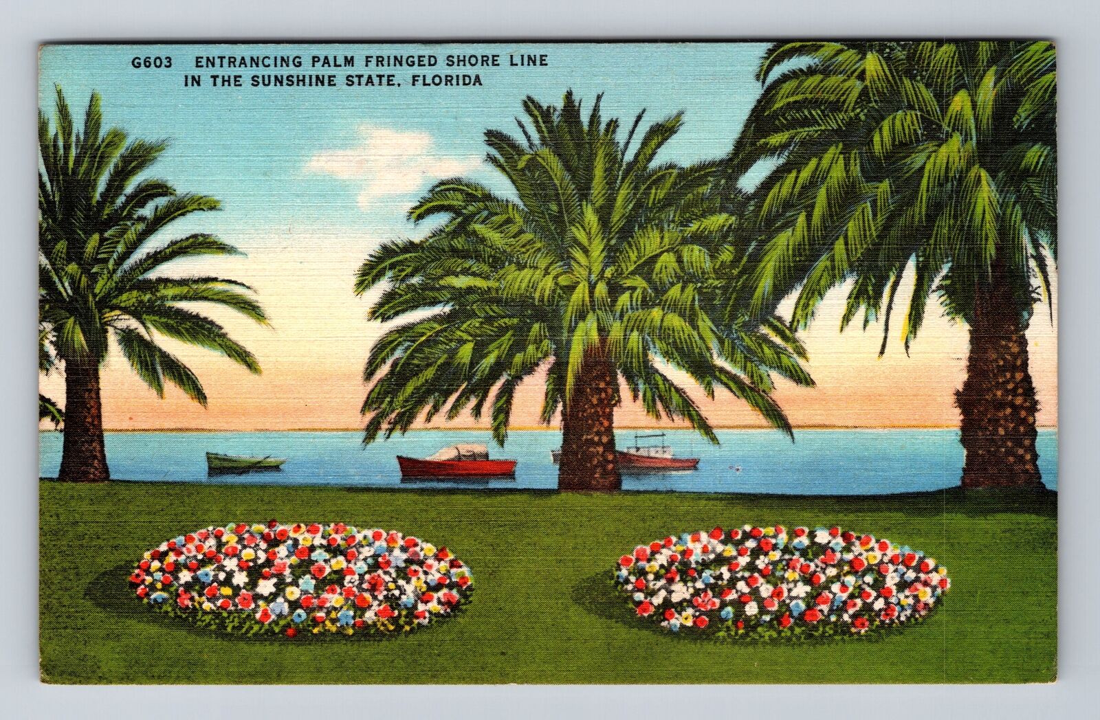 FL-Florida, Entrancing Palm Fringed Shore Line, Antique, Vintage Postcard