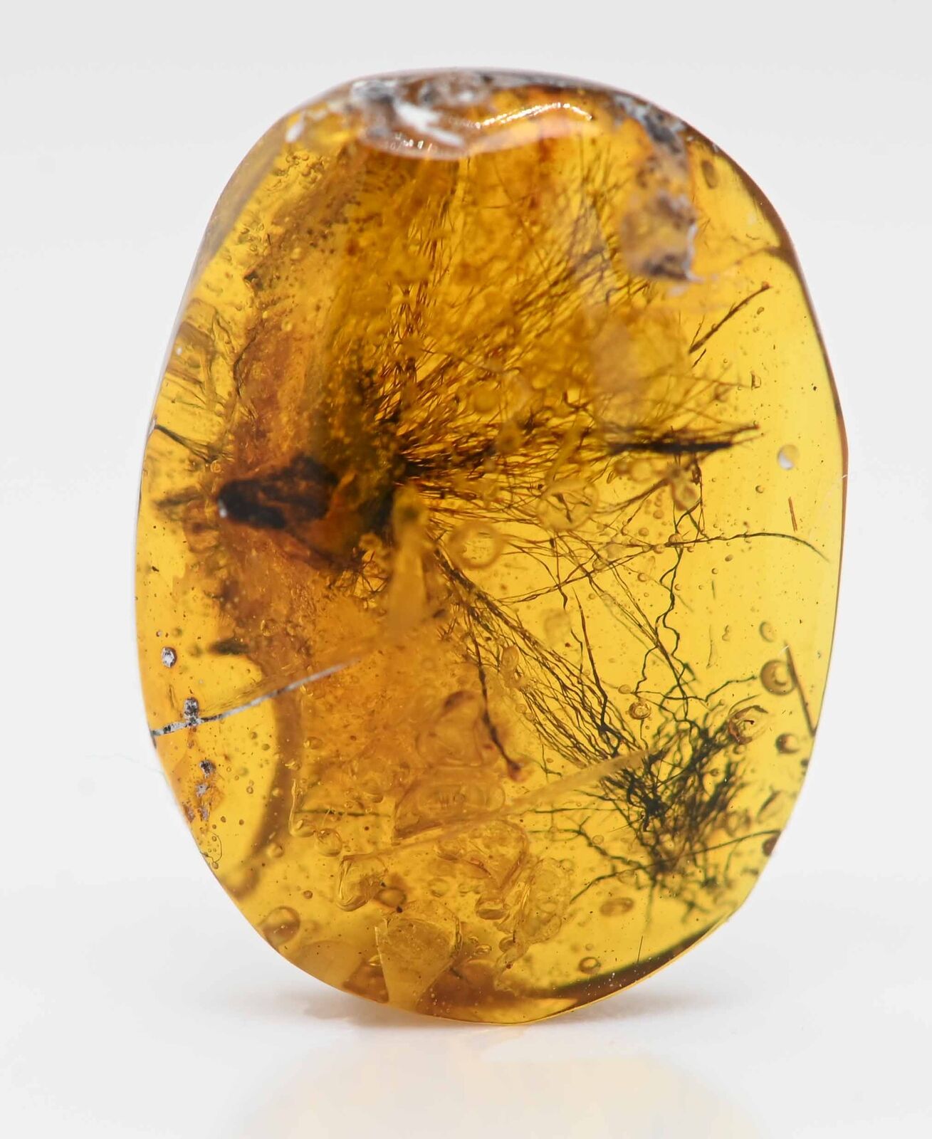 Rare Dandelion seed, Fossil Inclusion in Burmese Amber