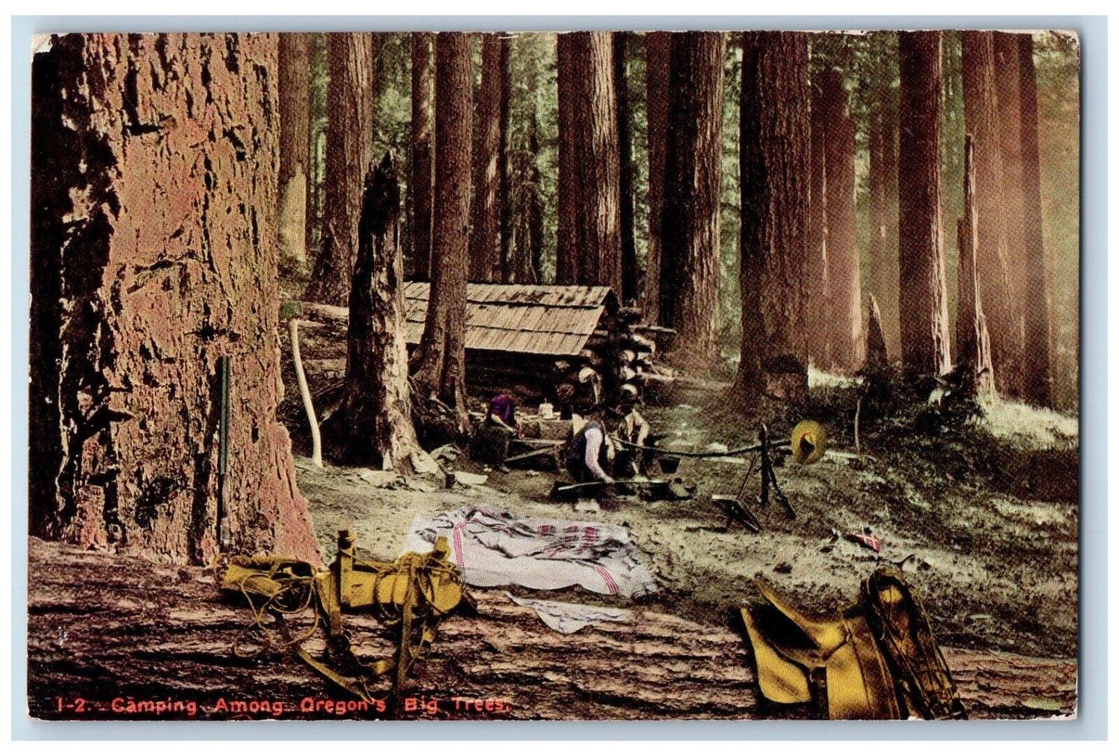 Oregon OR Postcard Camping Among Oregon\'s Big Trees Cooking c1910\'s Antique