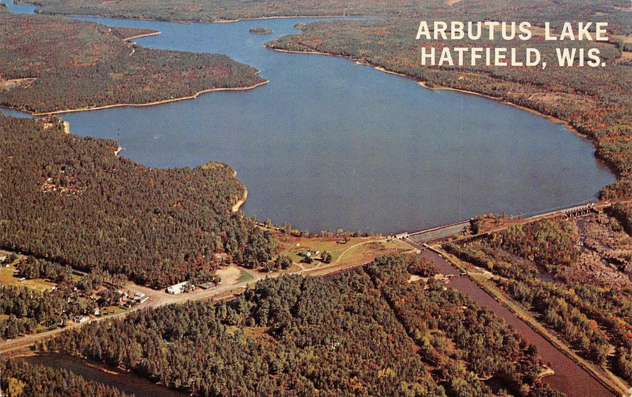 HATFIELD, WI Wisconsin ARBUTUS LAKE~Bird's Eye View KOMENSKY~Jackson Co Postcard