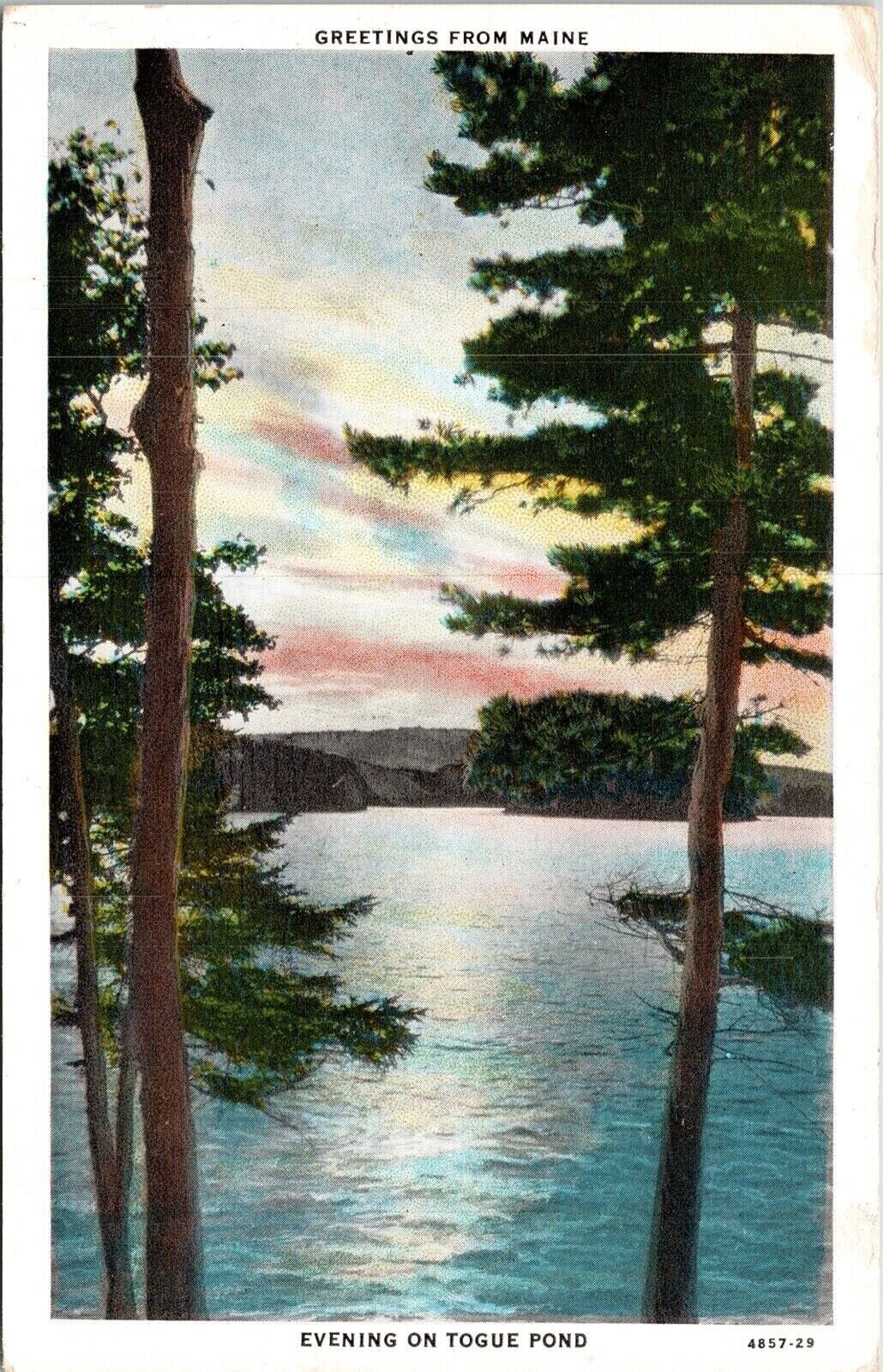 Greetings Togue Pond Sunset Landscape Scenic Maine UNP Vintage Postcard
