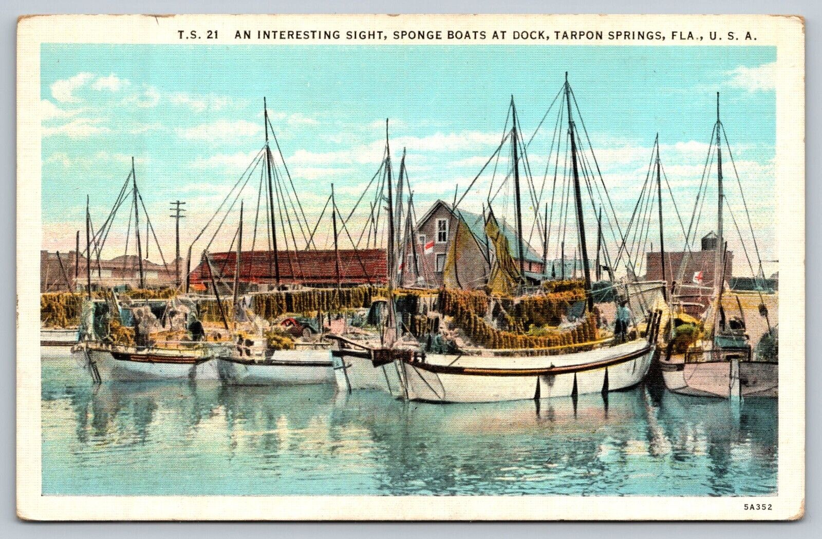 Postcard An Interesting Sight Sponge Boats at Dock Tarpon Springs FL