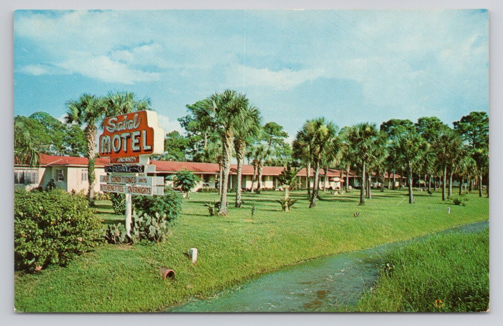 Postcard The Sabal Tamiami Trail Florida