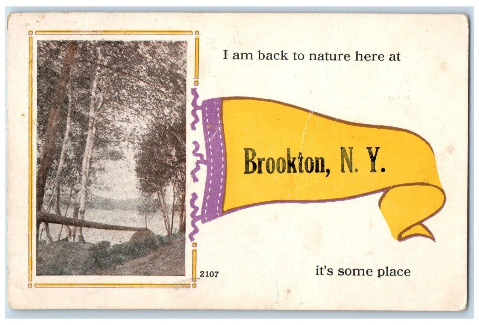 c1910\'s Nature View Brookton New York NY Pennant Posted Antique Postcard