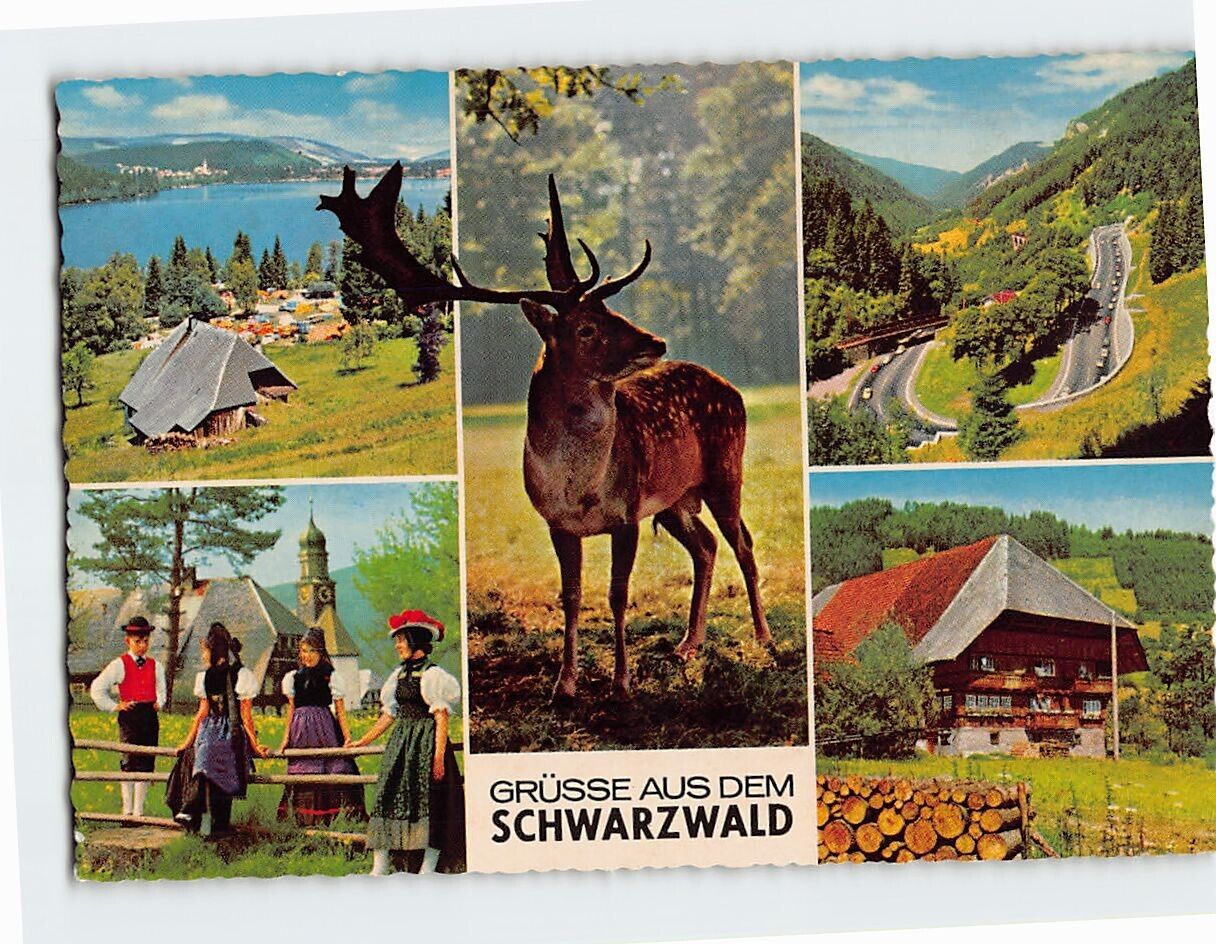 Postcard Grüße Aus Dem Schwarzwald, Germany