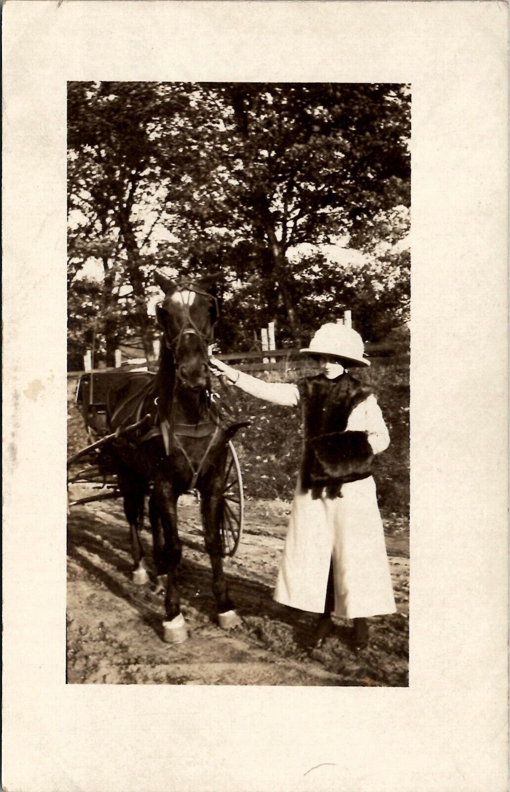 Fancy Lady Fur Wrap & Muffler Larg Hat Beautiful Horse Real Photo Postcard V13