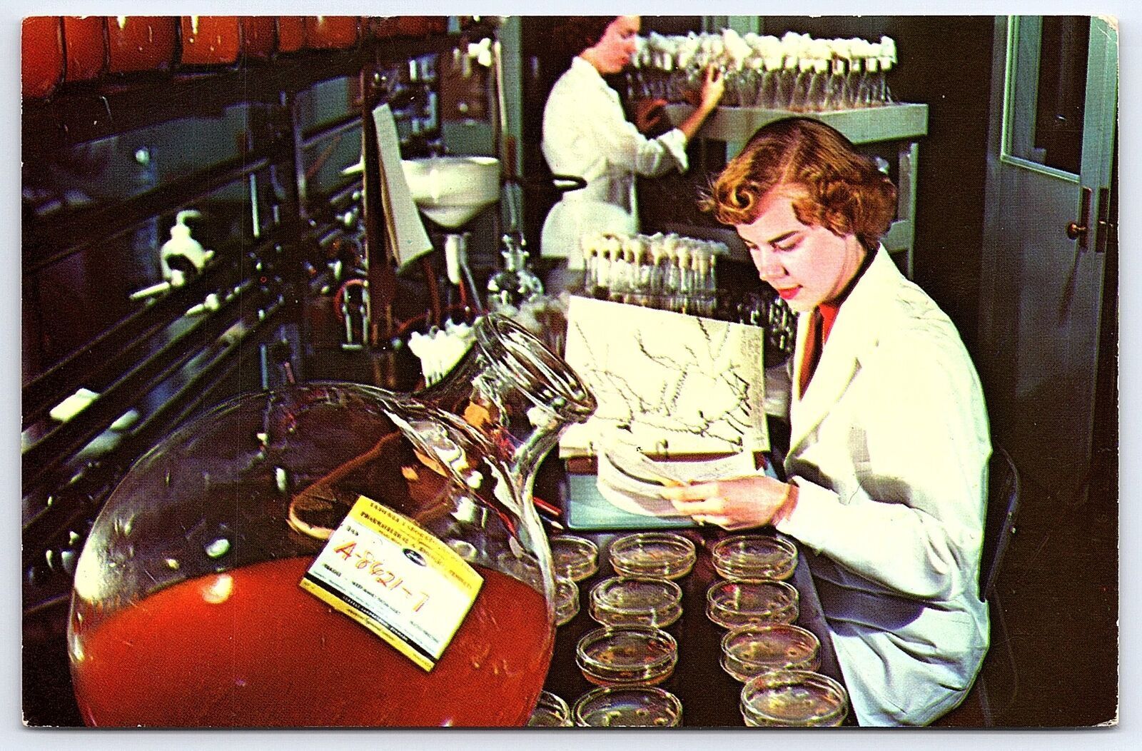 1971 Lederle Laboratories American Cyanamid Pearl River New York Posted Postcard