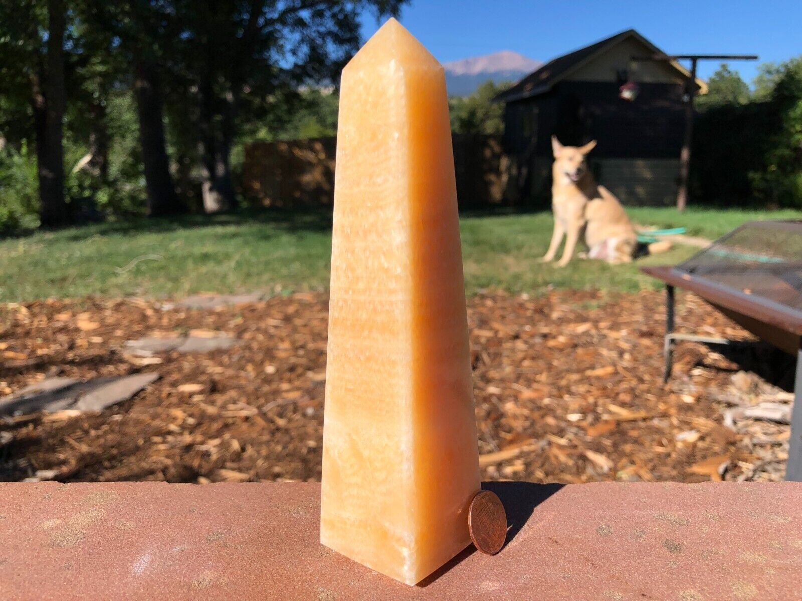 379g  (.83lbs)  Banded Orange Calcite Crystal Obelisk Tower Point VH-57