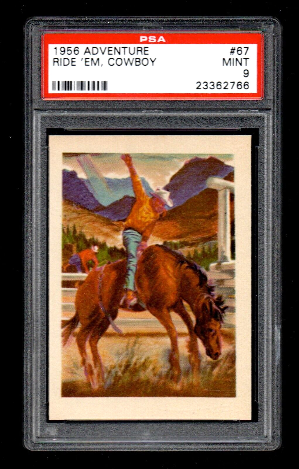 1956 Topps Adventure #67 Ride \'Em Cowboy Wild West Rodeo Cowboys PSA 9 