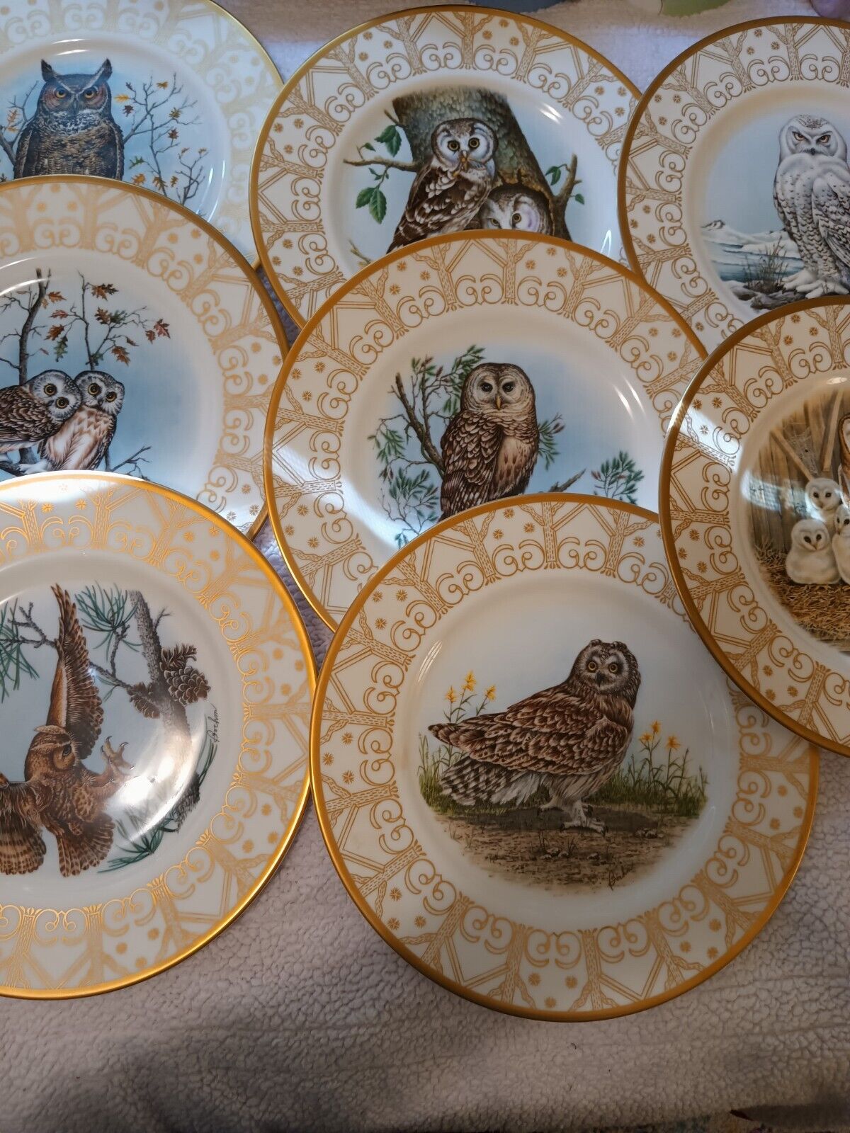Rare Edward Marshall Boehm Owl Plates Complete Set Of 8/ Fine Bone China Vtg
