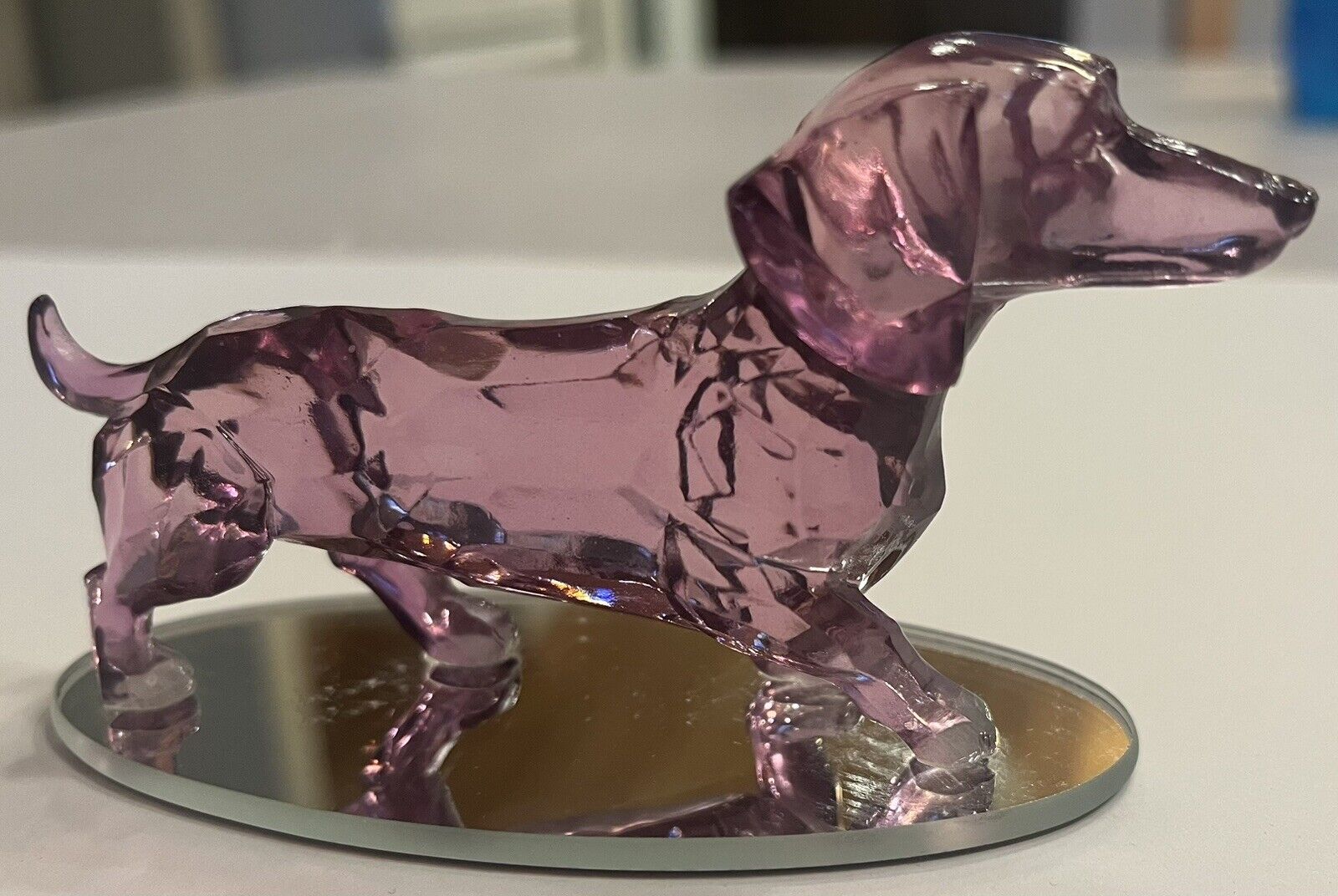 Rarest Gem Dachshunds of The World “Radiance Of The Amethyst” Collection