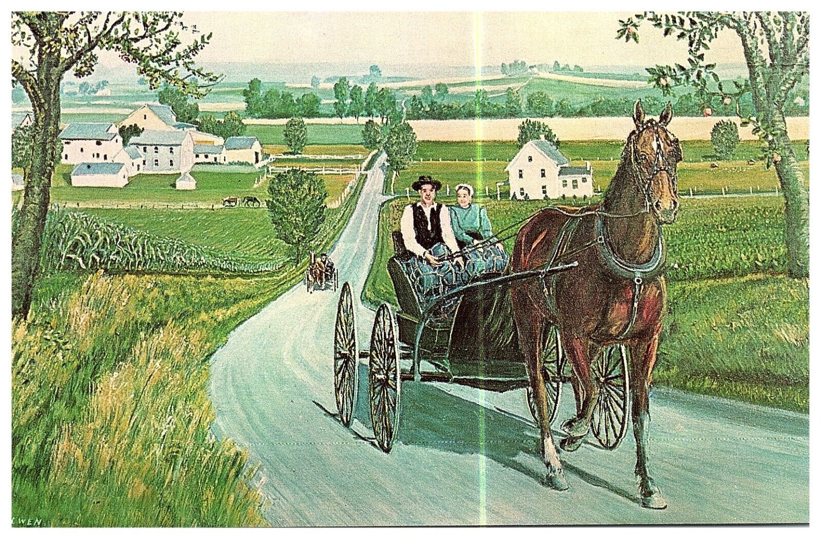 Postcard - Amish Courting Carriage - \