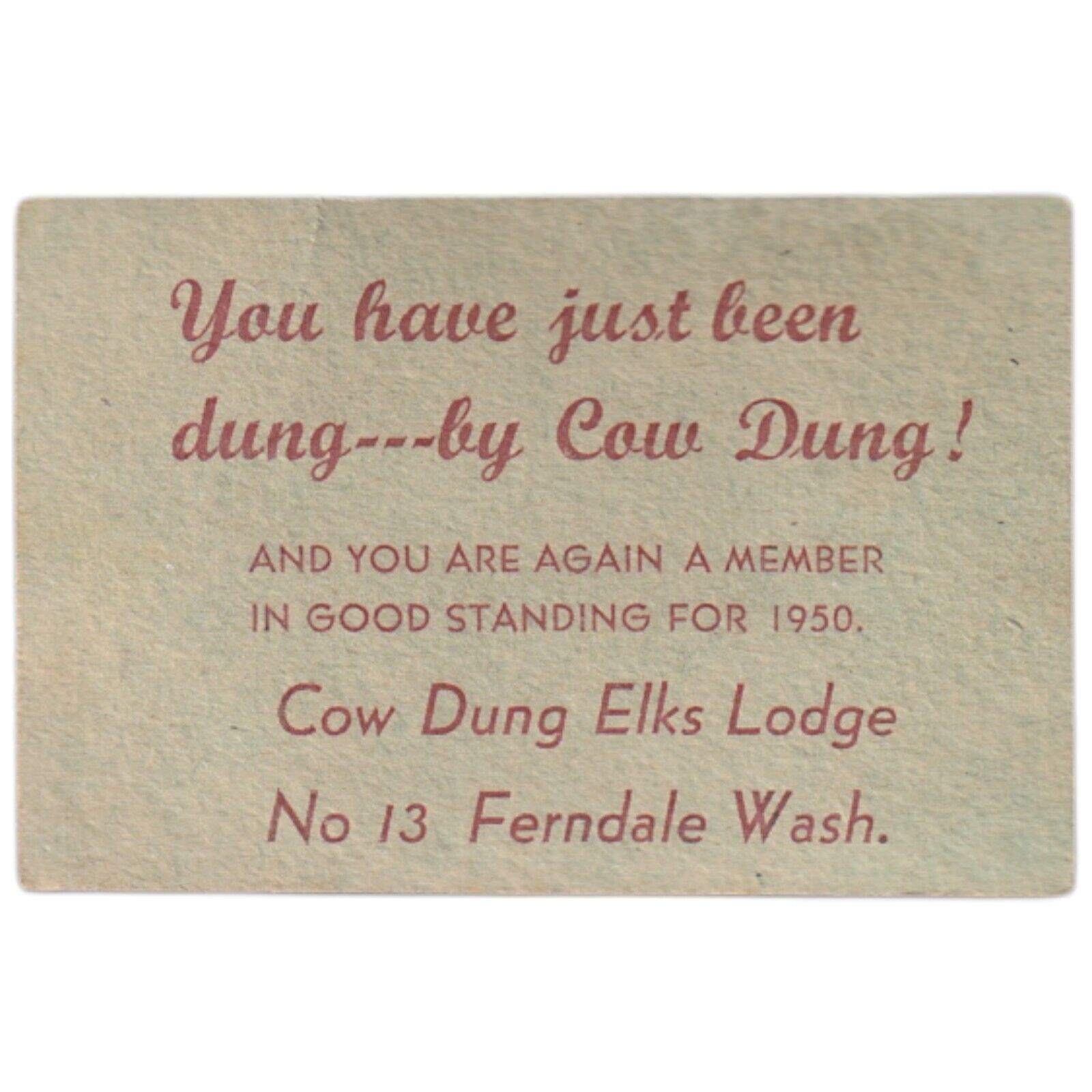 Elks Club Membership Card 1950 No 13 Ferndale Wash Cow Dung Lodge