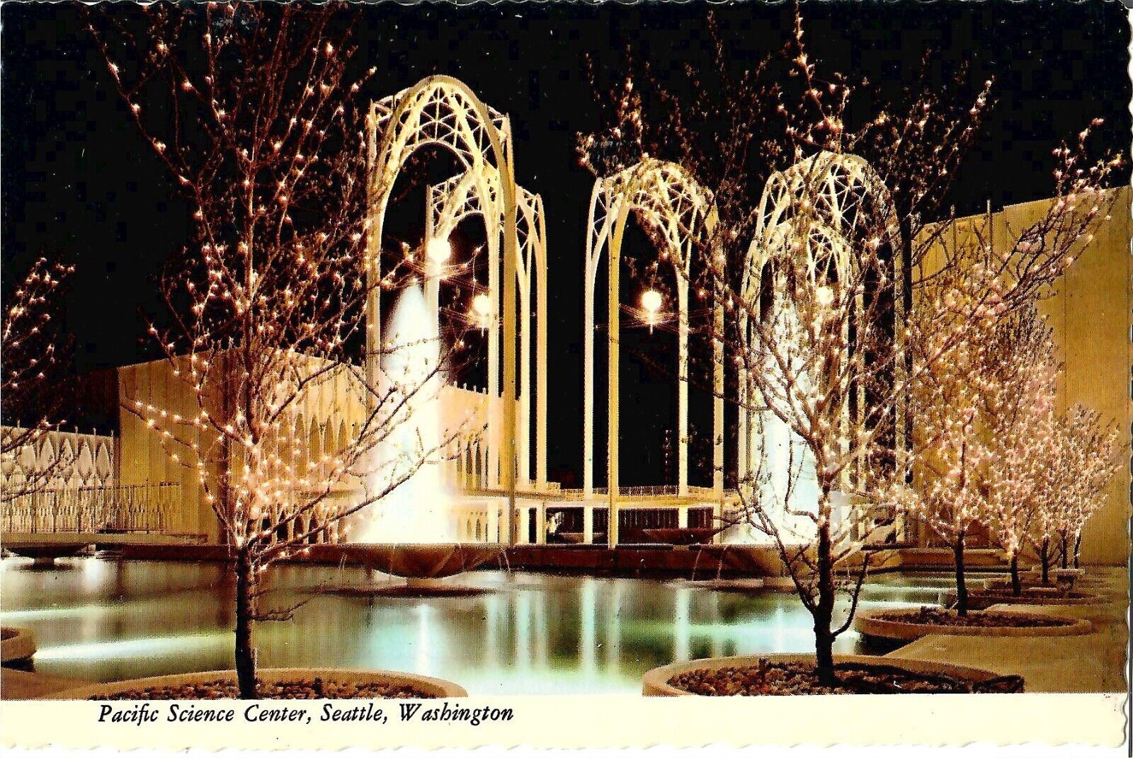 NEW 4x6 Unposted Postcard Seattle Washington Pacific Science Center Christmas 