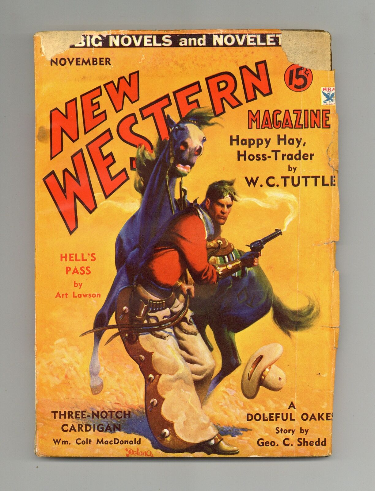New Western Magazine Pulp 1st Series Nov 1934 Vol. 1 #1 GD