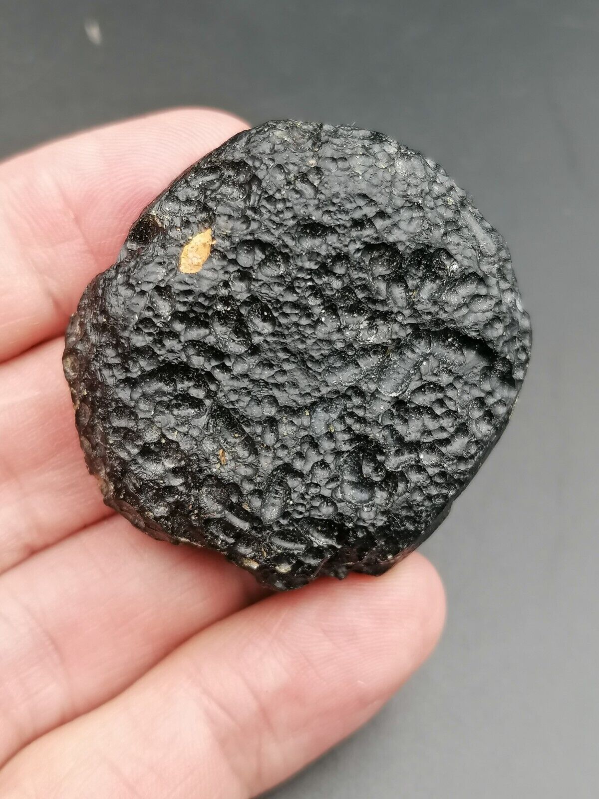 Beautiful Tektite Indochinite Disc 35,88g / 4,5 cm Meteorite Impact Glass