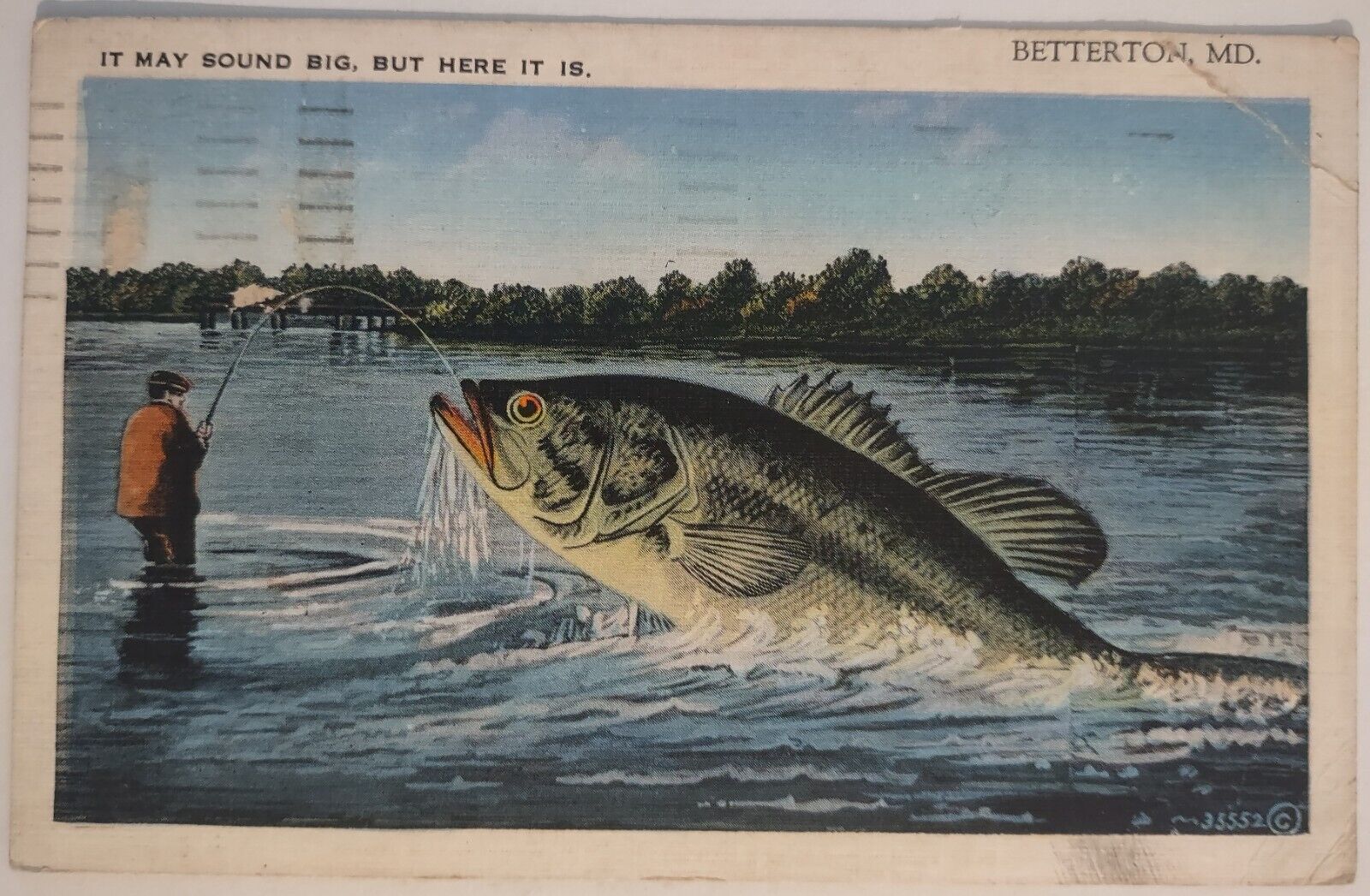 Vintage Postcard Exaggerated Fish Betterton Maryland Bass