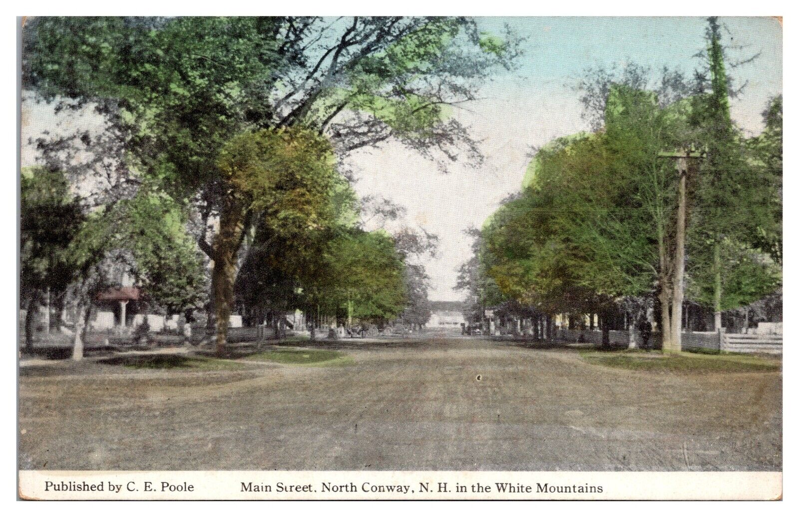 1914 Main Street, Dirt Road, Houses, Big Trees, North Conway, NH Postcard