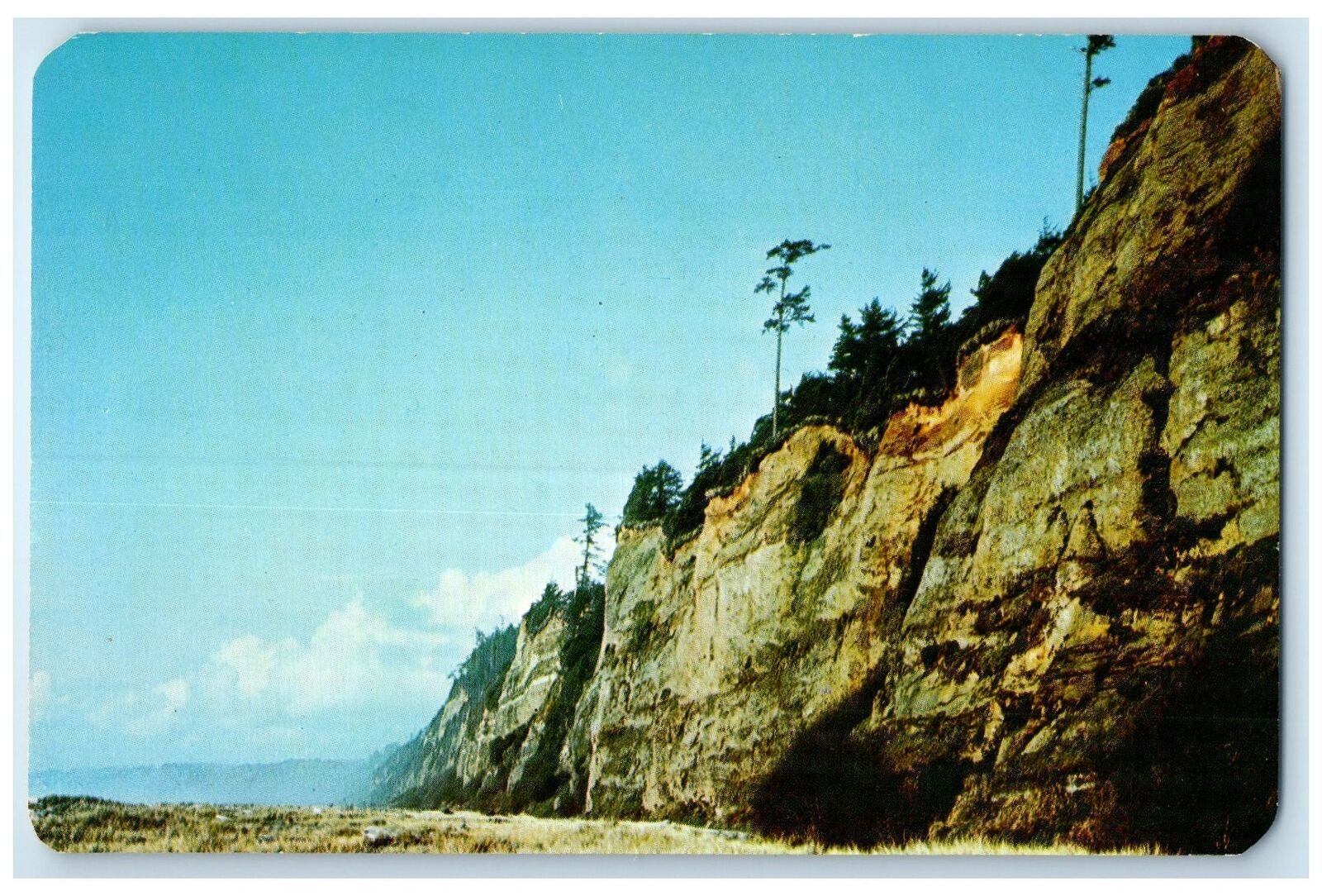 c1950's Gold Bluffs Beach Prairie Creeks Redwoods Park California CA Postcard