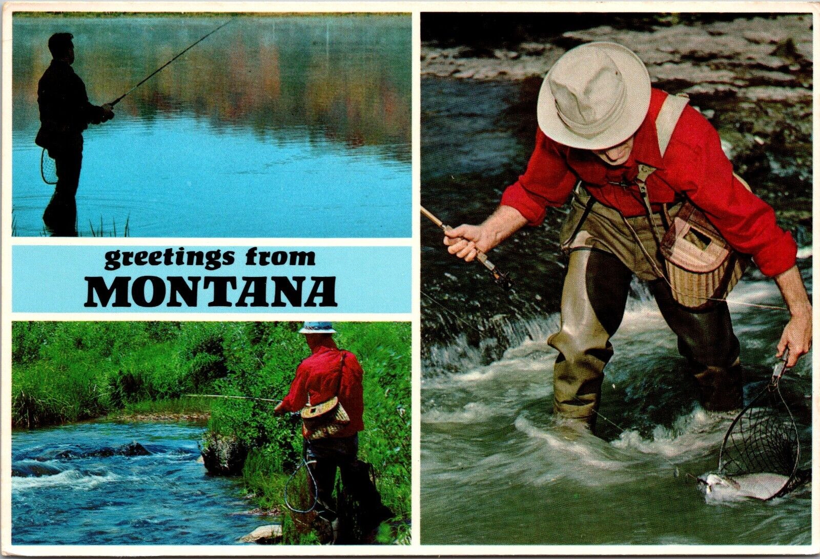 Postcard Greetings From Montana    [ef]