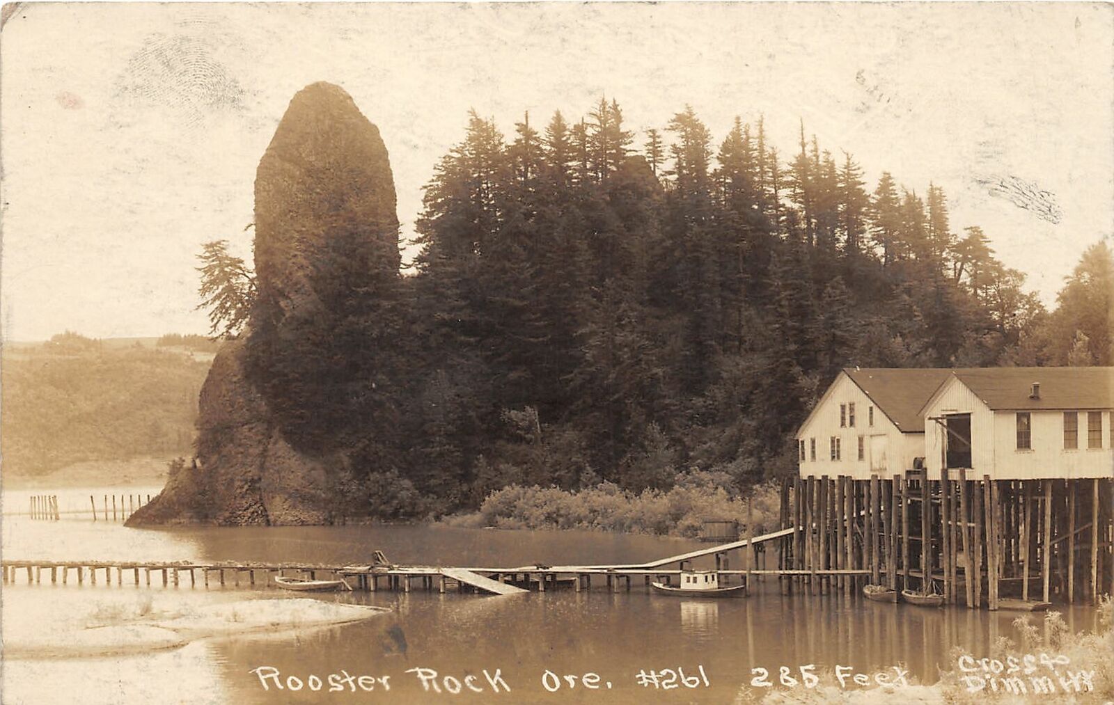 F14/ Rooster Rock Oregon RPPC Postcard c1920 Dock Boat Geology