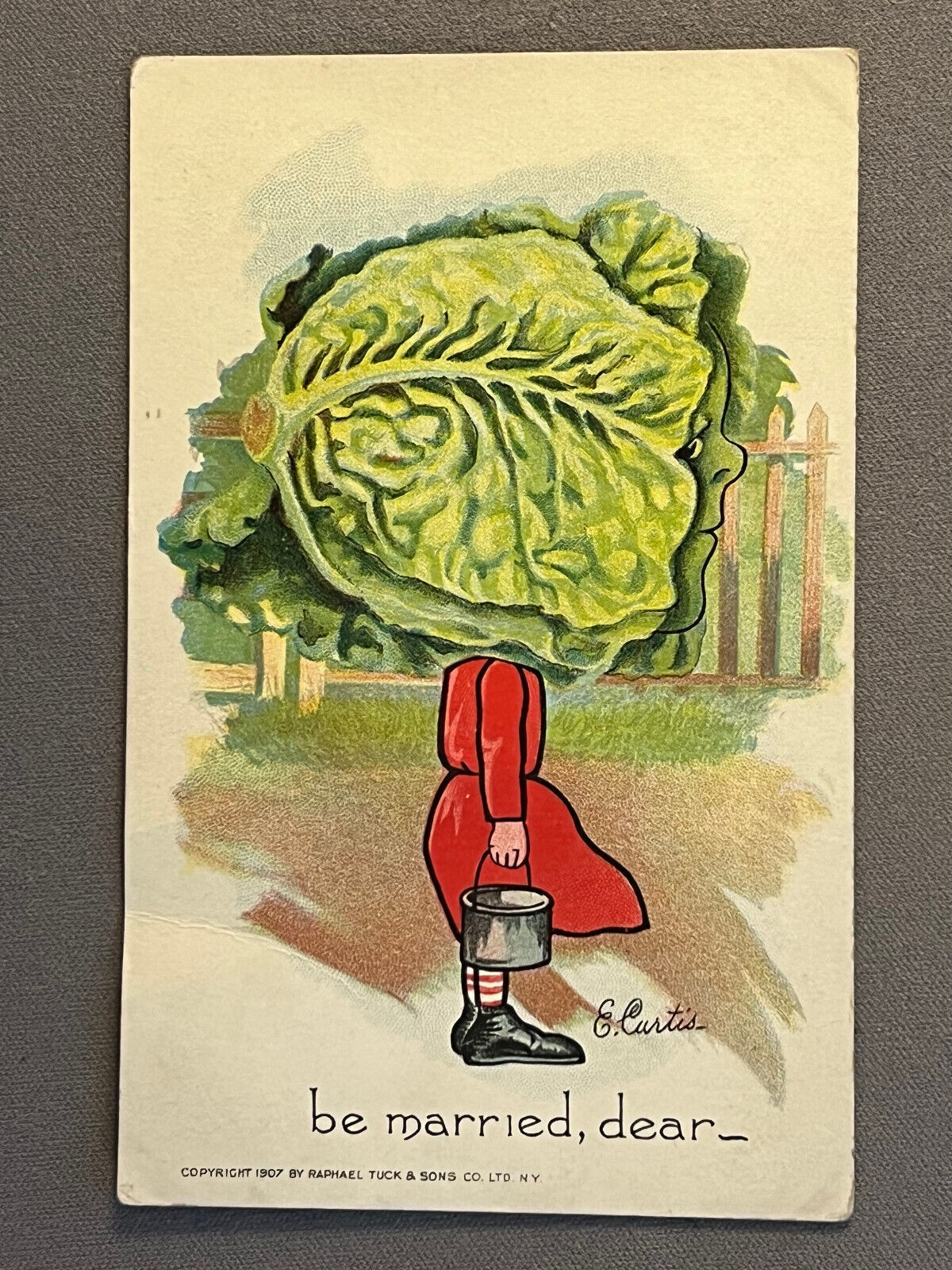 A/S E Curtis, Tuck Garden Patch Series, Lettuce Vegetable Head, ca 1910