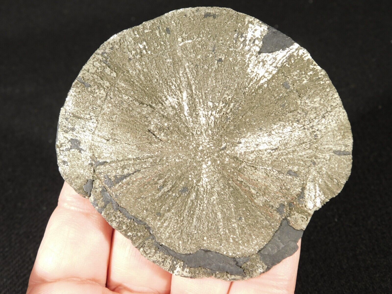 Larger Pyrite SUN or Pyrite Crystal DISC 100% Natural Illinois 118gr