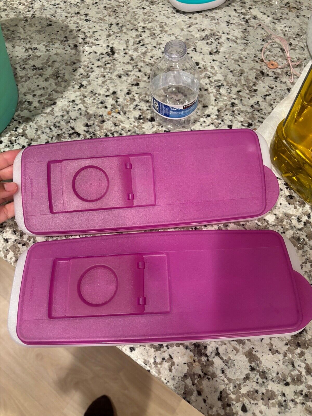 Two Tupperware fresh and pure ice cube trays With Lids D