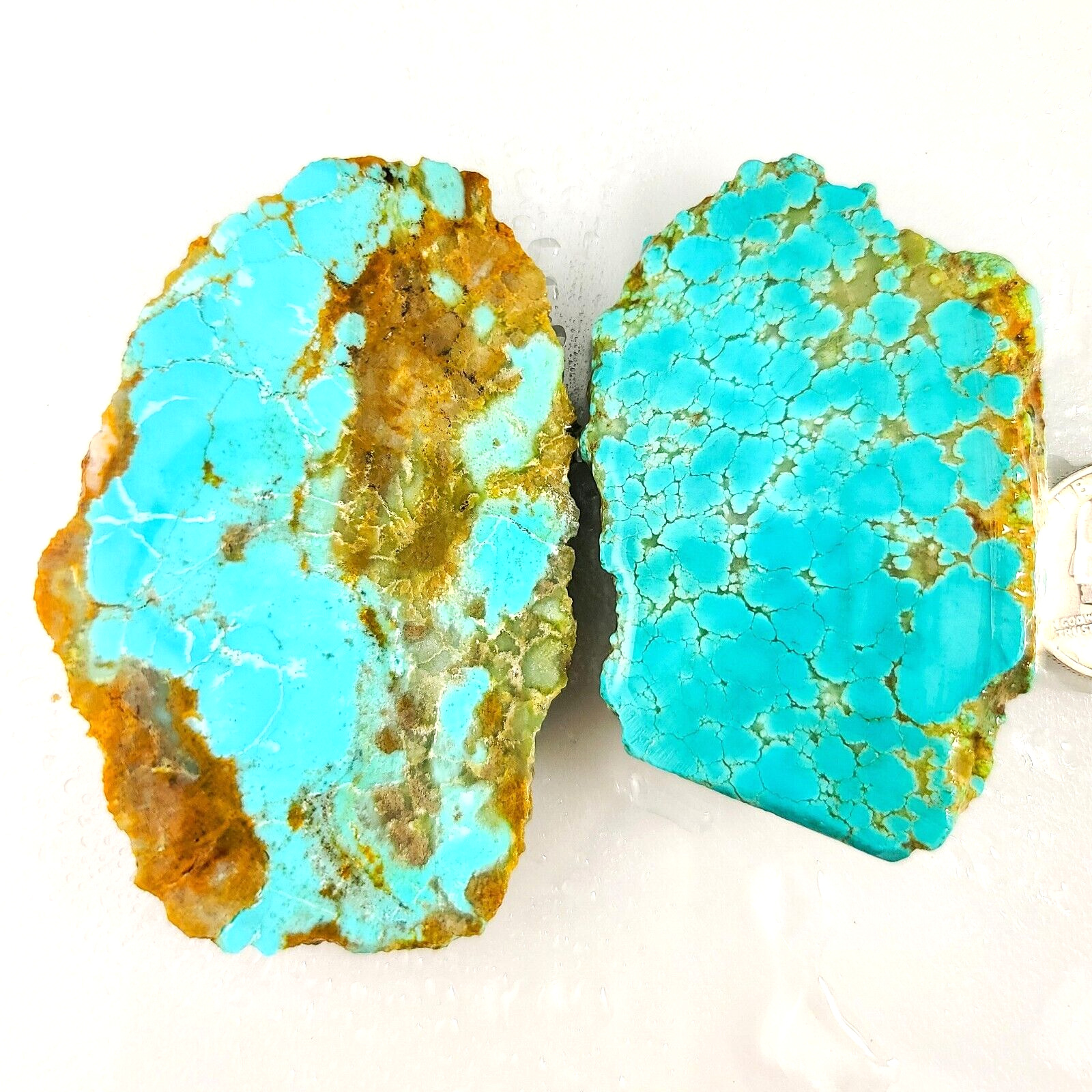 GS455 Rough slabs AAA-grade Nevada #8 turquoise 121.7gr