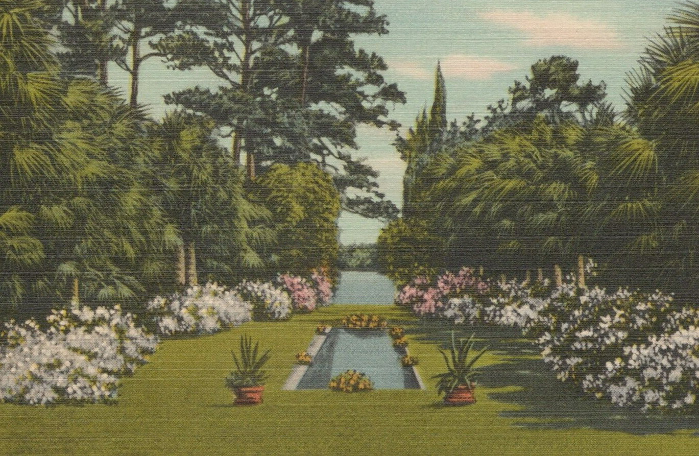 Killearn Gardens with Blooming Flowers in Tallahassee FL Linen Vintage Post Card