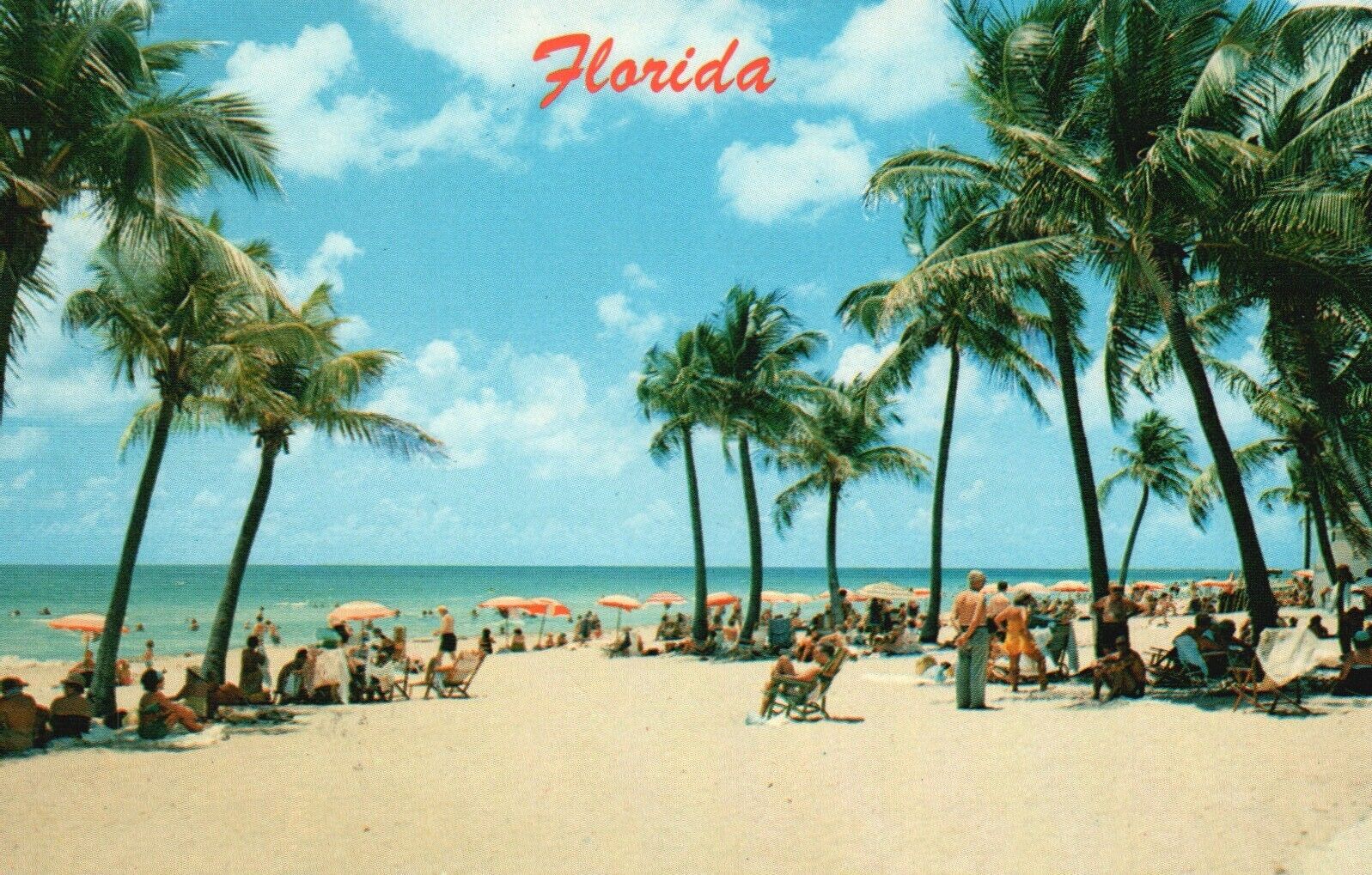 Postcard FL Florida Visitors Basking in the Sun 1983 Chrome Vintage PC f6320