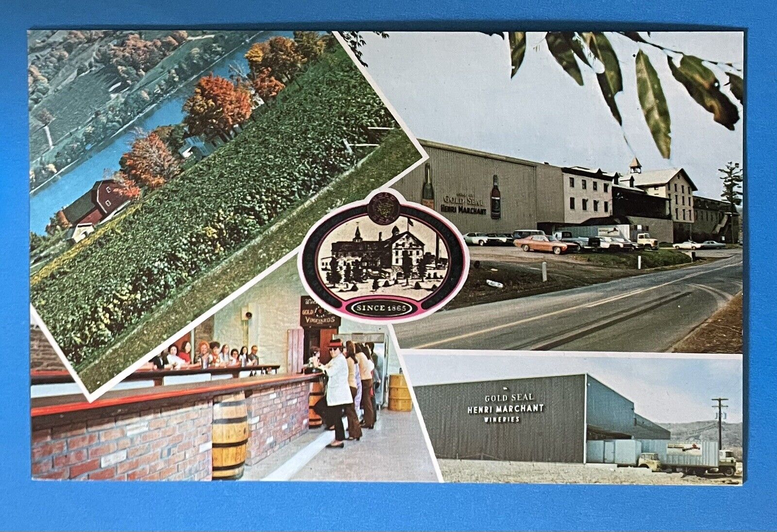 Vintage Multiview Postcard Gold Seal Vineyards Hammondsport New York NY