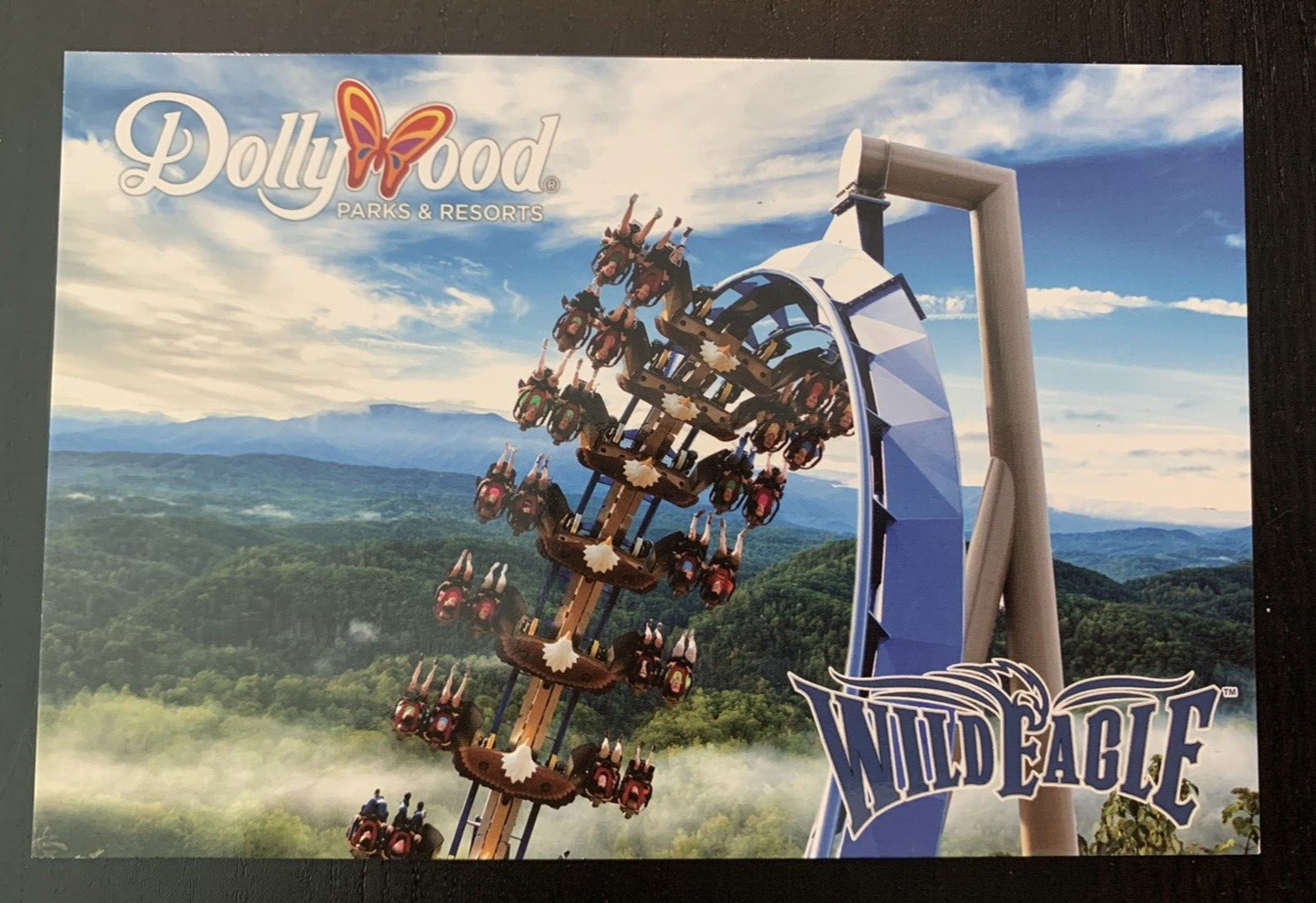 Dollywood Wild Eagle Postcard - New