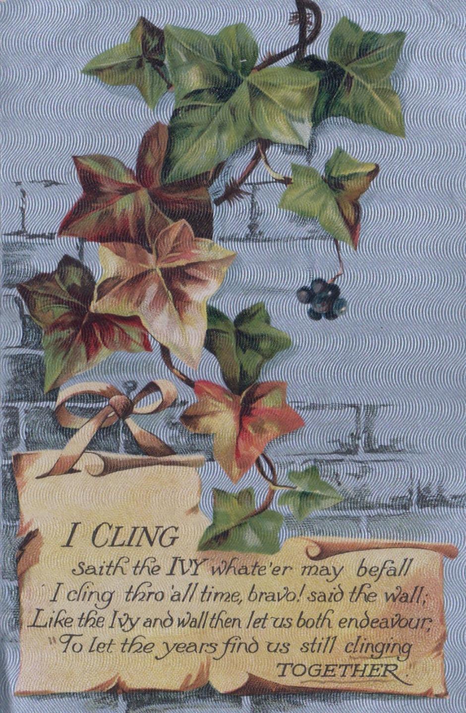 1904 ANTIQUE Silver Gilt I Cling Saith the Ivy POSTCARD - INTERESTING Message