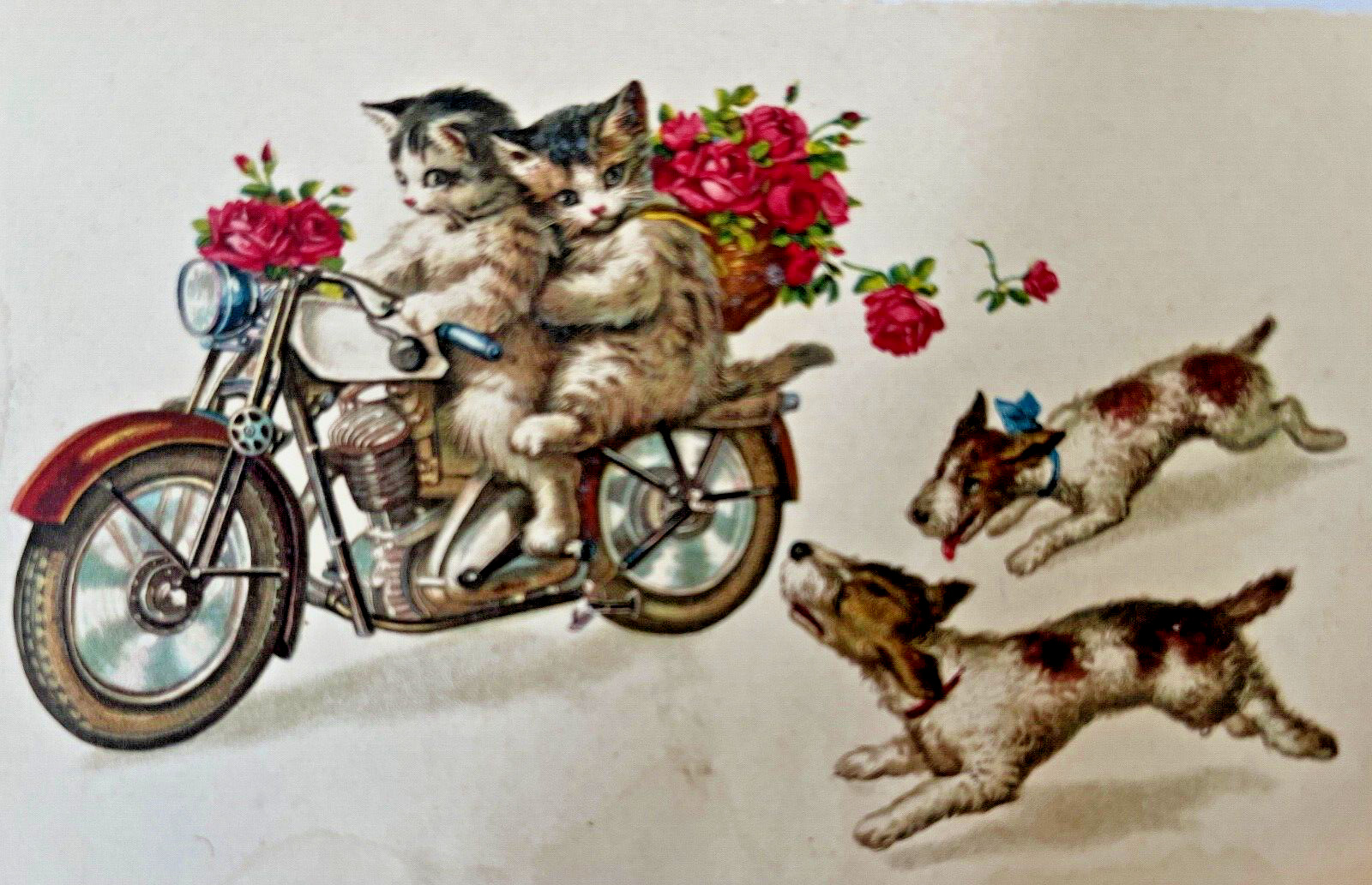Cat Couple Riding Motorcycle Dogs Chase Vintage Postcard Anthropomorphic