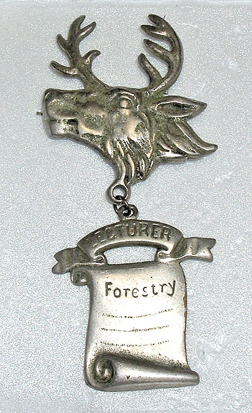 1800s *AOF Ancient Order of Foresters *LECTURER Silverplate Sash ELK HEAD MEDAL