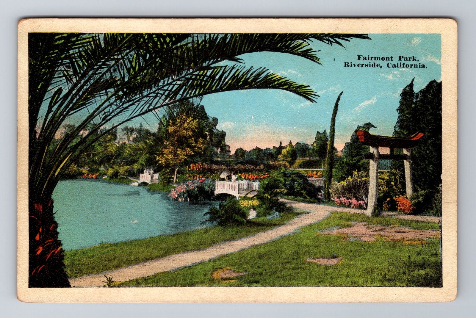 Riverside CA-California, Fairmont Park, Antique, Vintage Souvenir Postcard