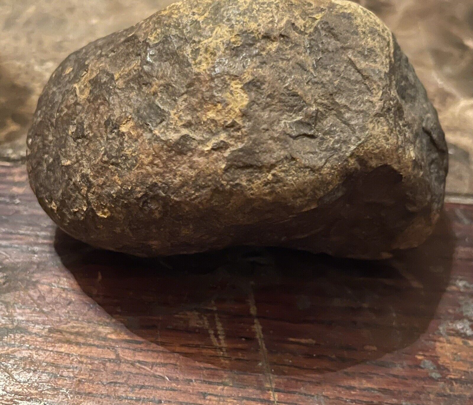 Very Rare Meteorite Found In Indiana.  Weighs Pound And Half