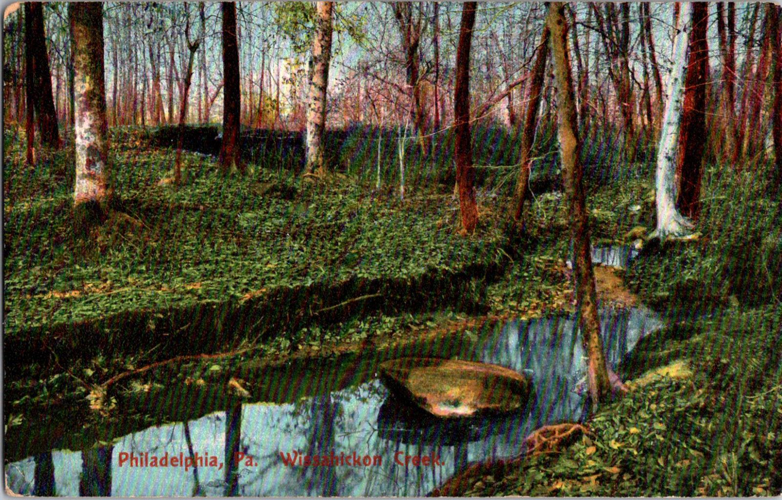 C. 1910 Wooded View of Wissahickon Creek Philadelphia PA Postcard Pennsylvania