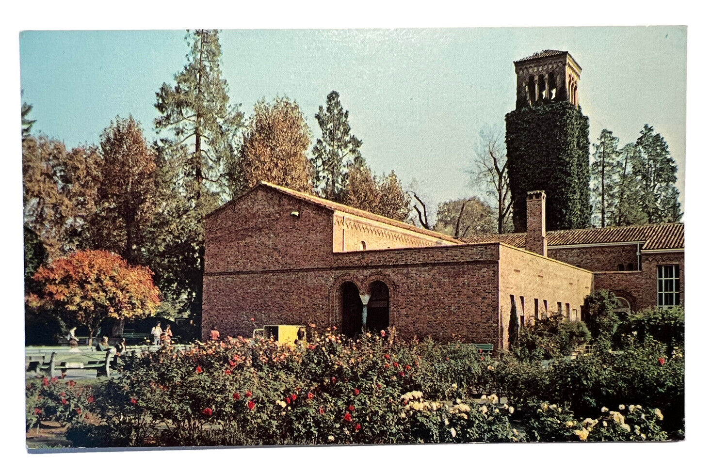 1950\'s Postcard CALIFORNIA STATE COLLEGE CHICO CA Library Tower Butte County A8