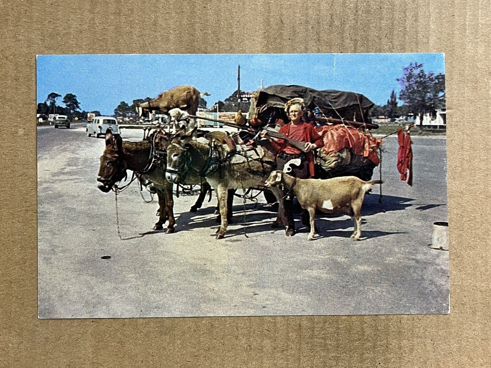 Postcard Orville Ewing Wagon Pritchett CO Colorado Artist Traveler Vintage PC