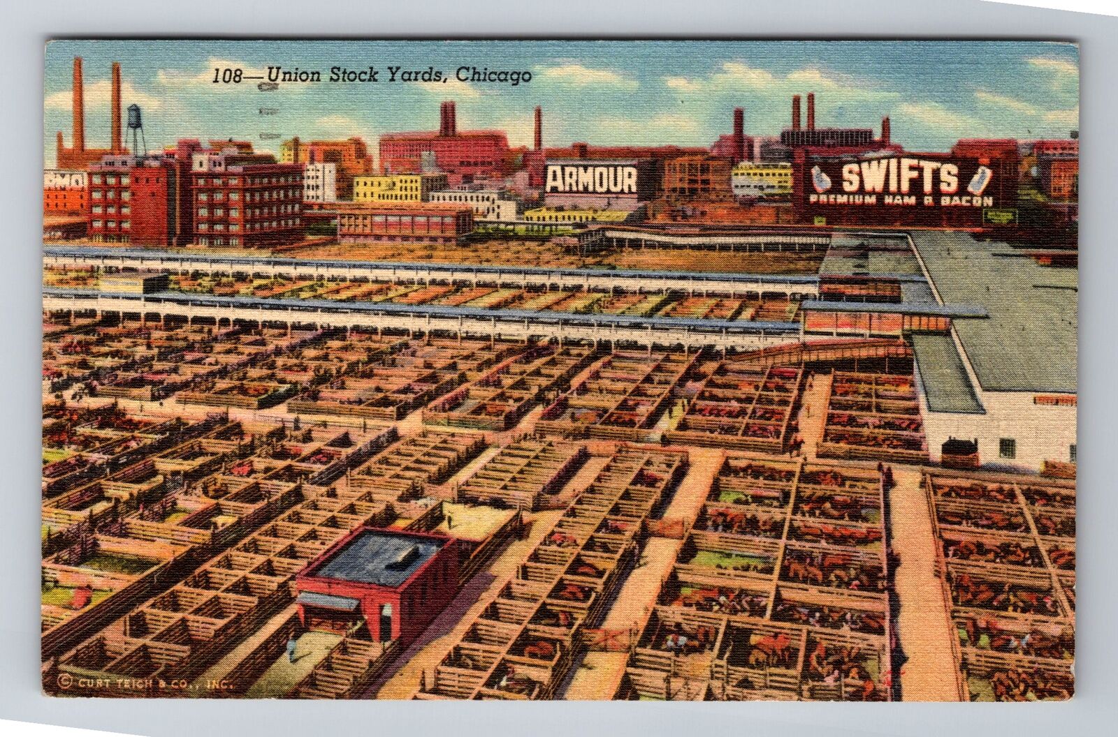 Chicago-Illinois, Union Stock Yards, Cattle Pens, Advertising, Vintage Postcard