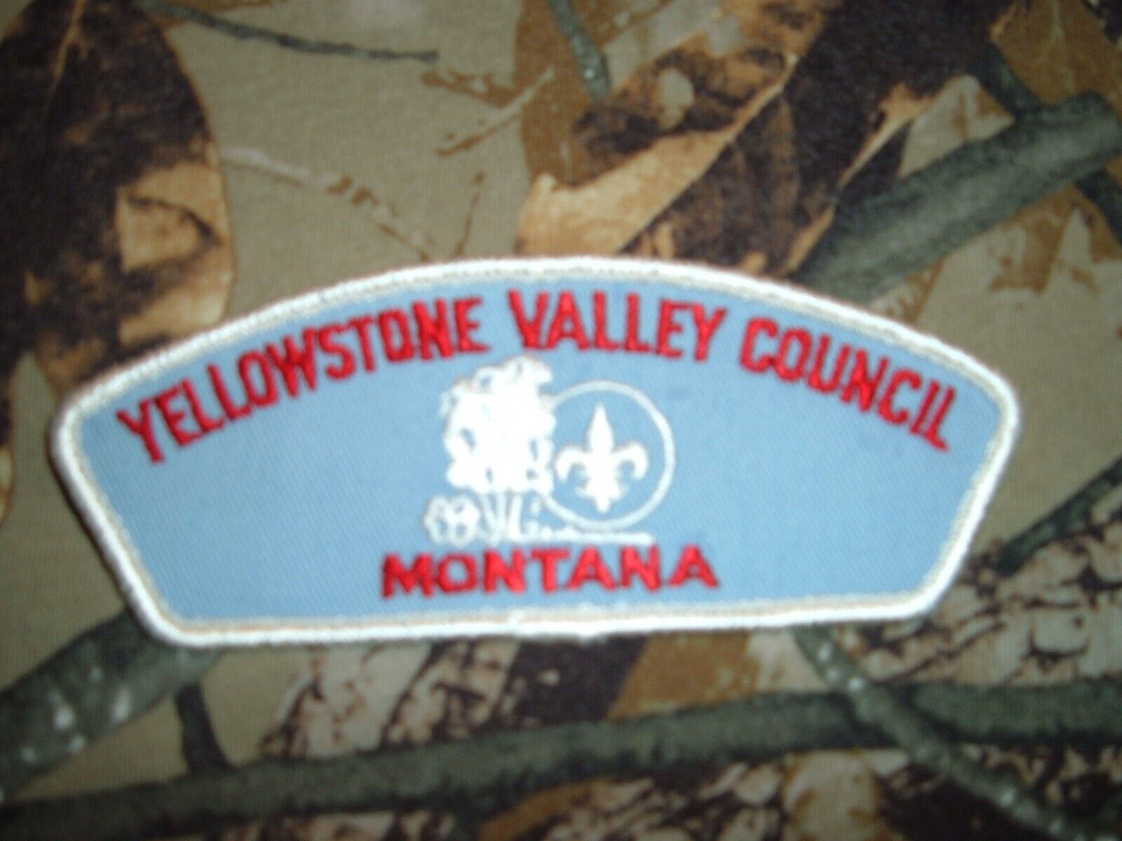 BSA Yellowstone Valley Boy Scout Council CSP