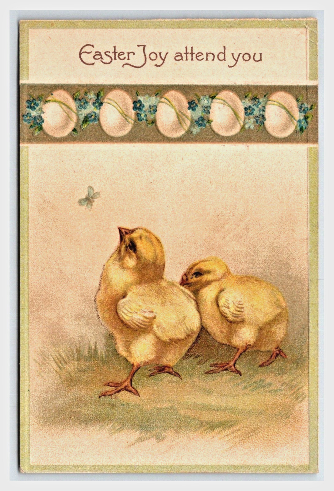 Easter Hatching chic embossed 1908. Cute
