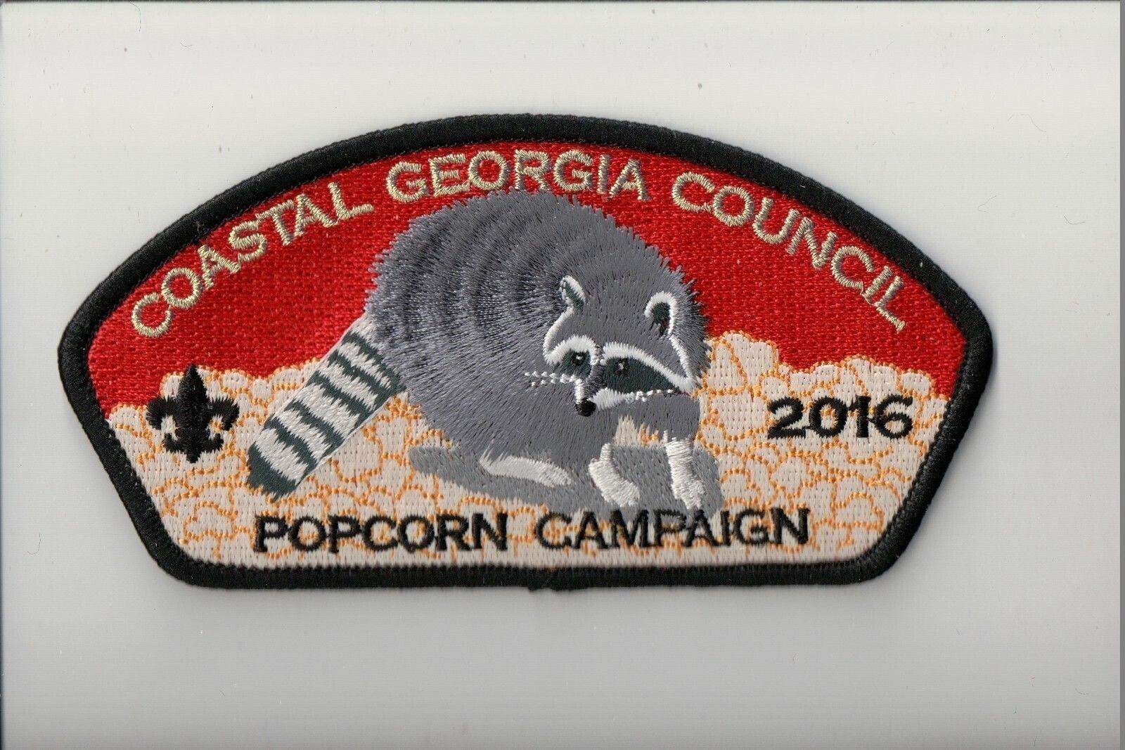 Coastal Georgia Council SA-30 2016 Popcorn Campaign CSP (Raccoon)
