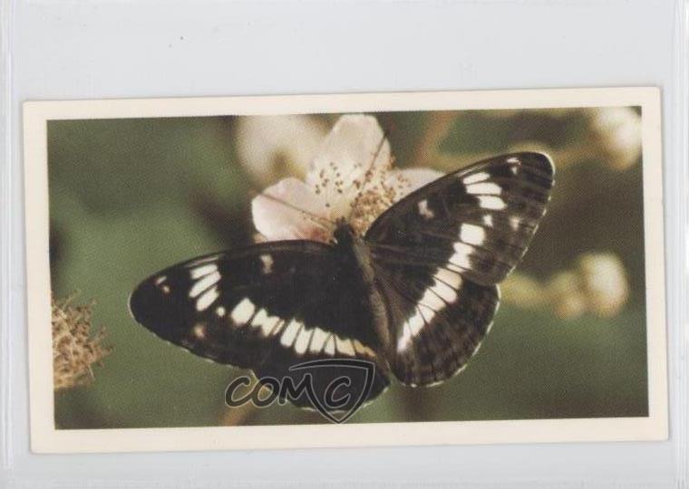 1983 Doncella British Butterflies Tobacco White Admiral #14 1i3