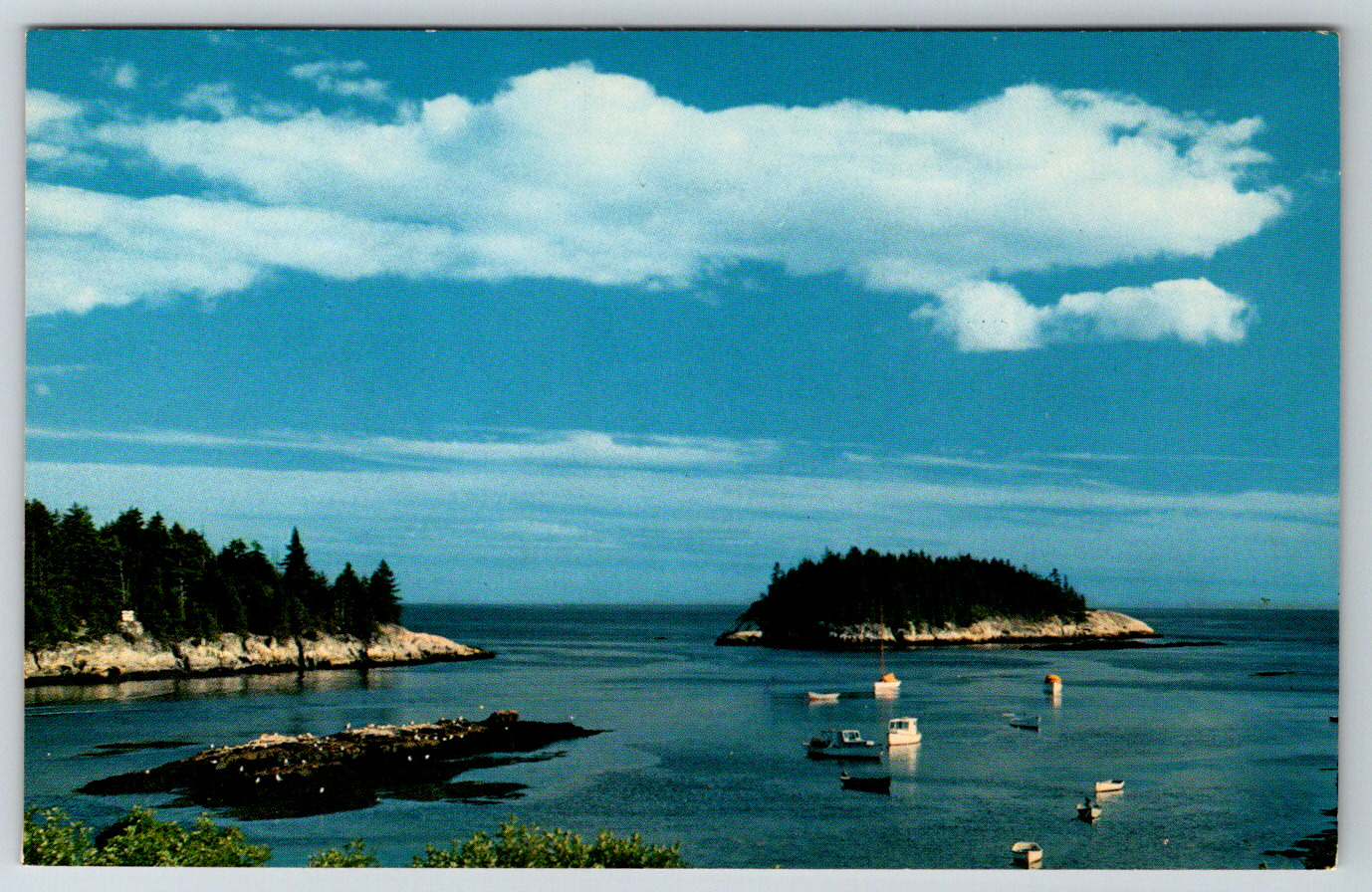 1950s Five Islands Georgetown Maine Mink Island Vintage Postcard