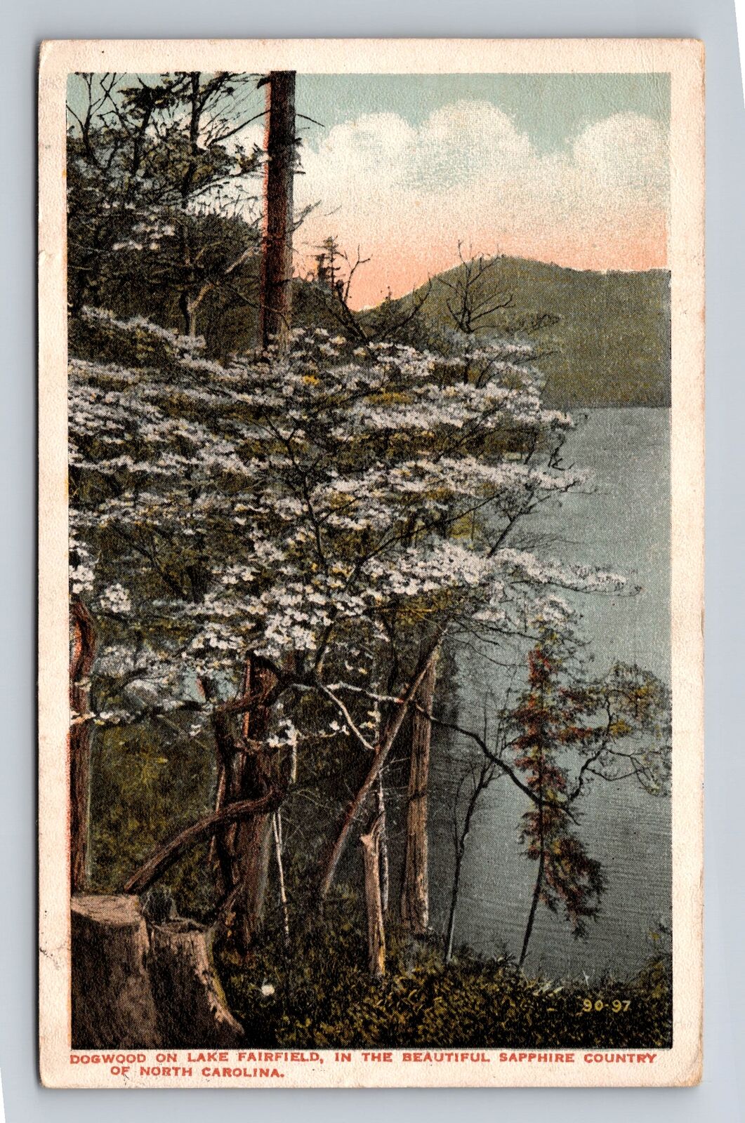 Sapphire Country NC- North Carolina, Dogwood On Lake, Vintage c1920 Postcard